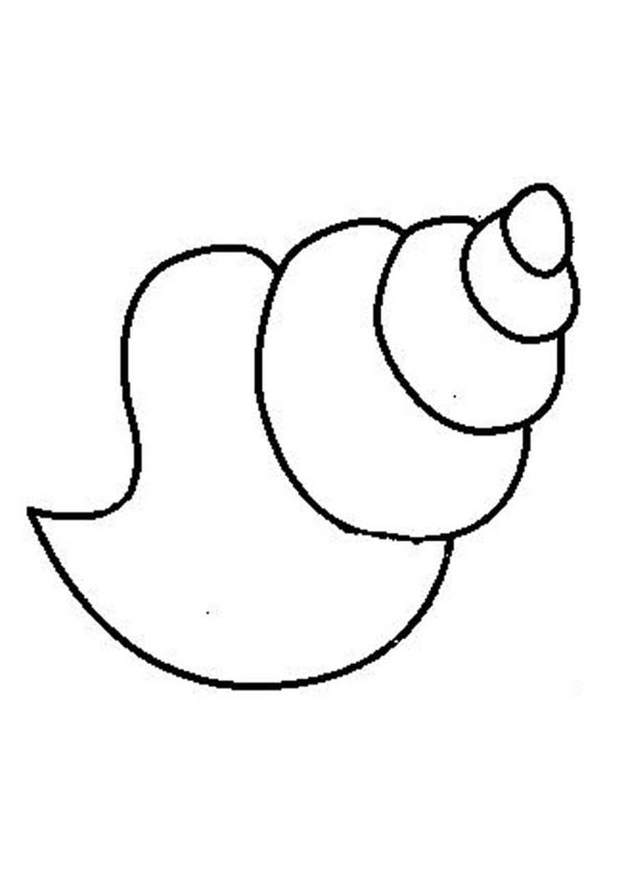 Coloriage d'un coquillage sur une plage Coloriage d'un coquillage sur une plage