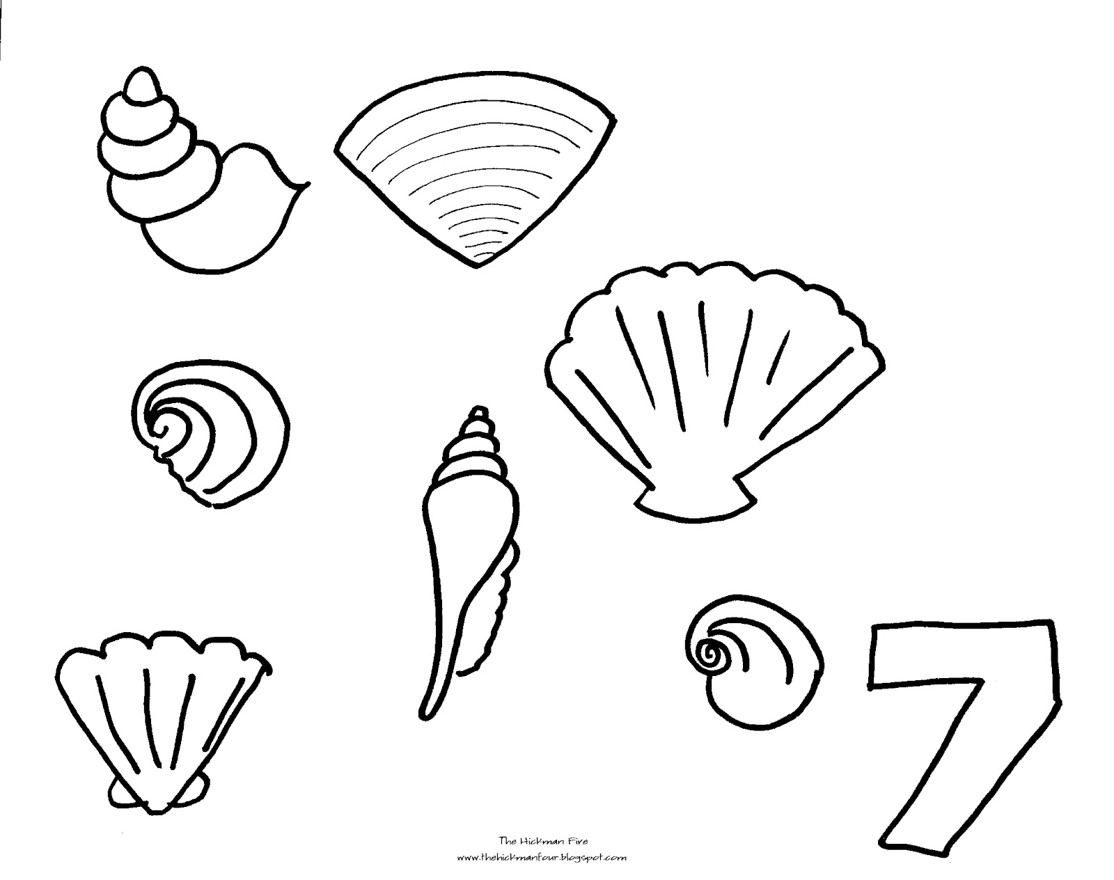 Coloriage d’un coquillage sur un fond minimaliste