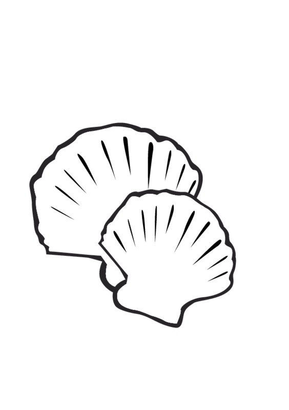 Coloriage Coquillage #32452 à imprimer Coloriage Coquillage #32452 à imprimer
