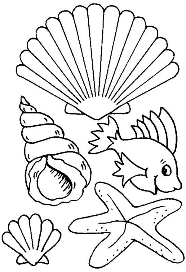Coloriage d'un coquillage sur le sable avec une étoile de mer