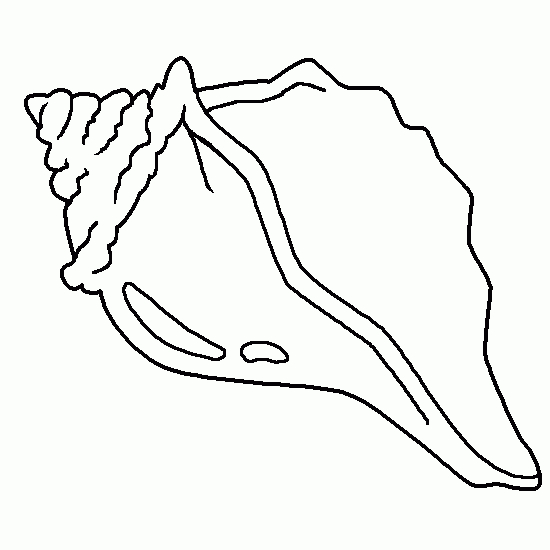 Coloriage d'un coquillage sur fond marin
