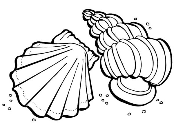 Coloriage d'un coquillage délicatement détaillé sur fond marin