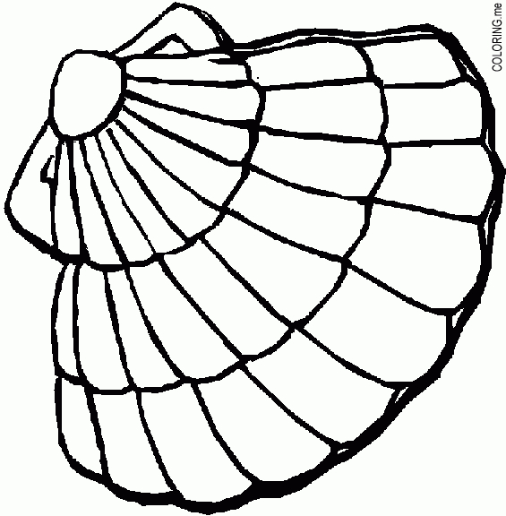 Coloriage d'un coquillage sur une plage ensoleillée