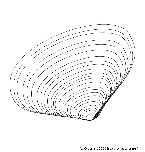 Coloriage d'un coquillage sur un fond simple