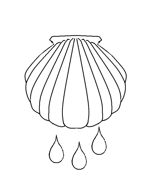 Coloriage d'un coquillage sur fond simple