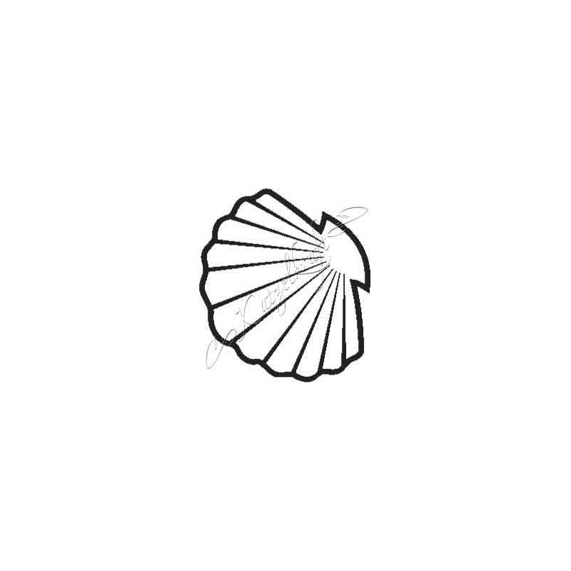 Coloriage d'un coquillage sur un fond de mer