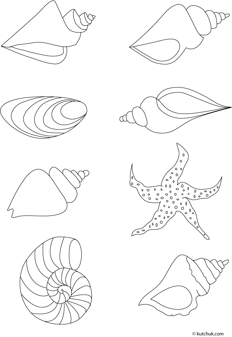 Coloriage d'un coquillage sur une plage avec des motifs délicats