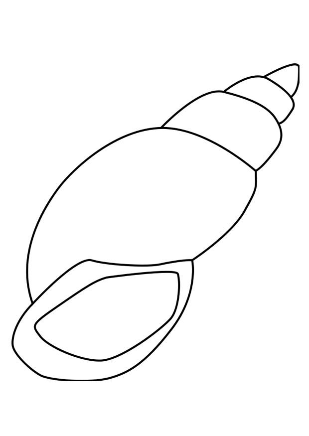 Coloriage d'un coquillage sur un fond de vagues stylisées