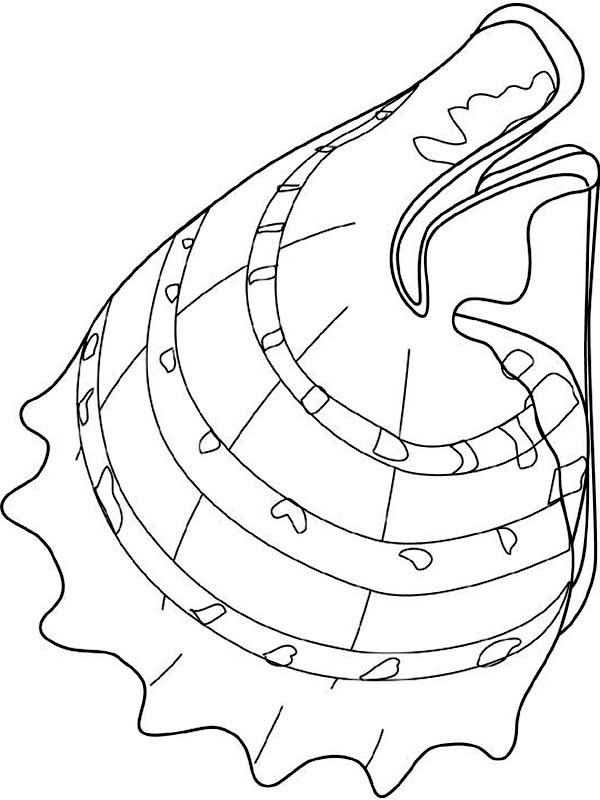 Coloriage d'un coquillage sur un fond marin