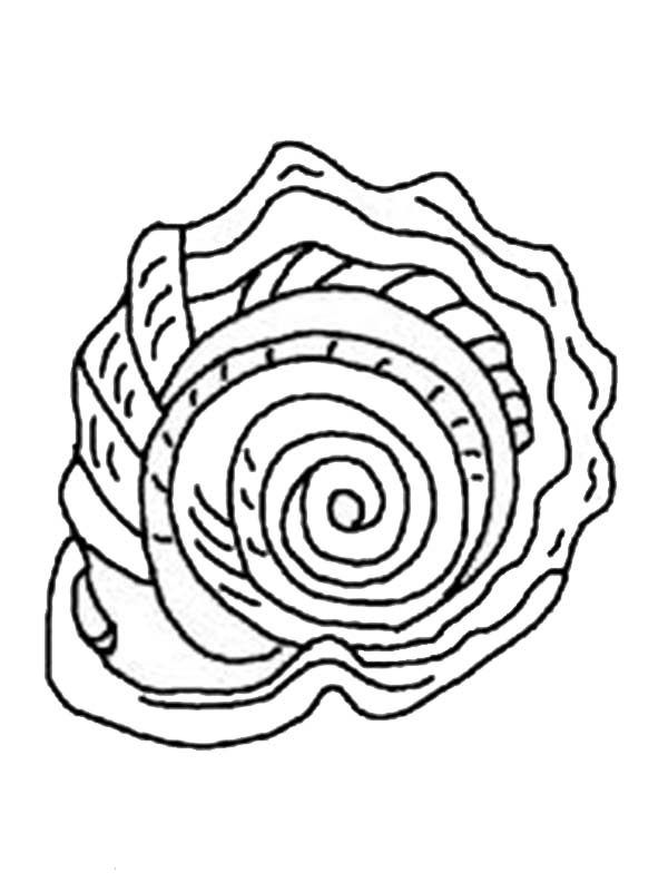 Coloriage d'un coquillage sur fond marin