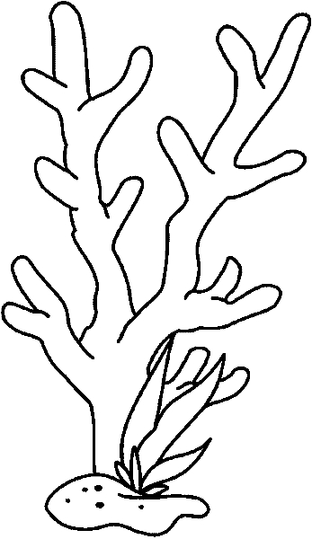 Coloriage d'un corail stylisé dans un fond marins
