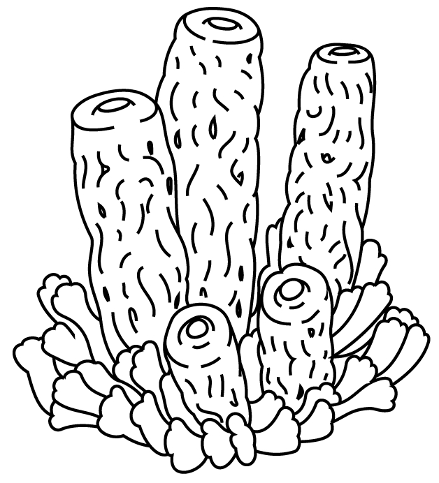 Coloriage d'un corail avec des détails marins