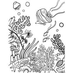 Coloriages De Corail Coloriage Corail Tubulaire à Imprimer Dessin
