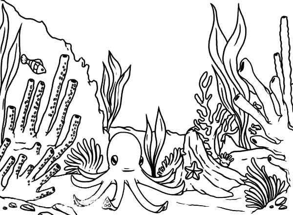 Coloriage d'un corail avec des formes organiques et des motifs marins