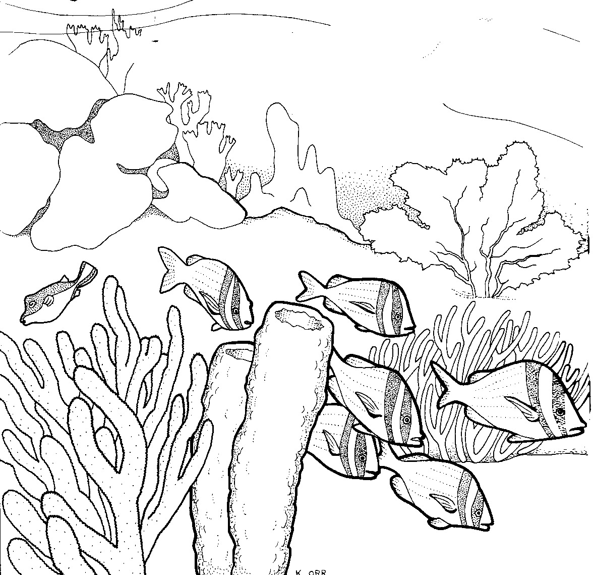 Corail coloré avec des éléments marins en arrière-plan