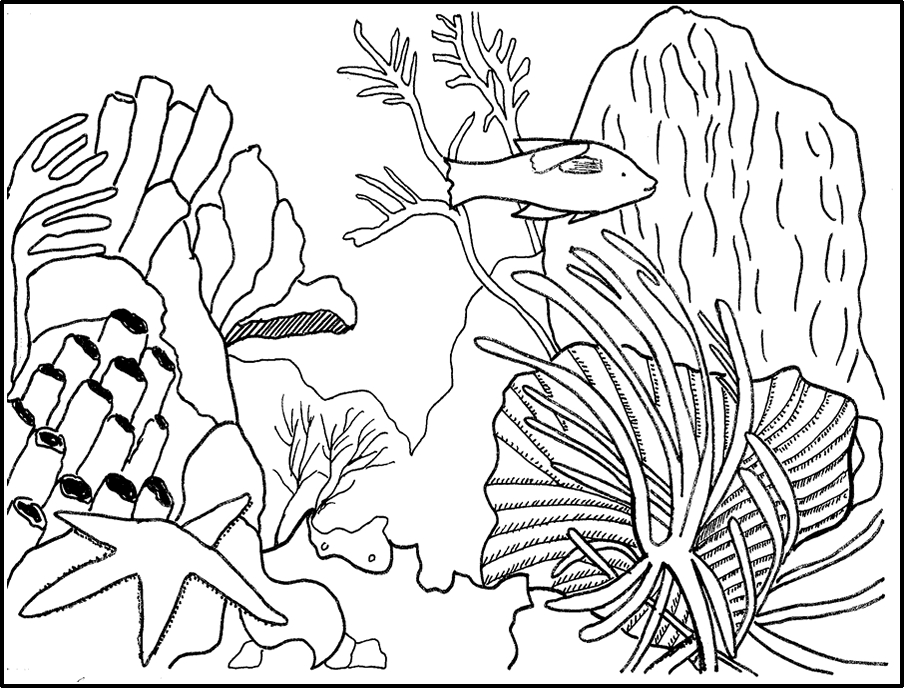 Coloriage d'un corail avec des éléments marins environnants
