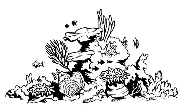 Coloriage d'un corail avec des détails marins