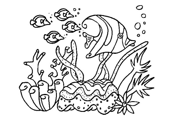 Coloriage de corail sur fond marin avec des détails naturels
