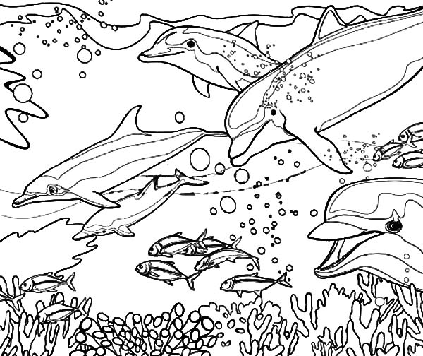 Un corail vivant dans son habitat marin