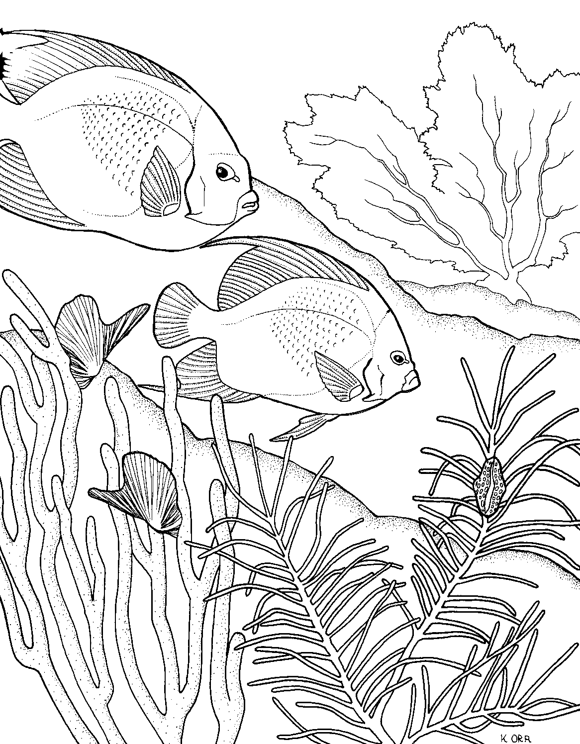 Coloriage d'un corail vibrant dans un décor marin