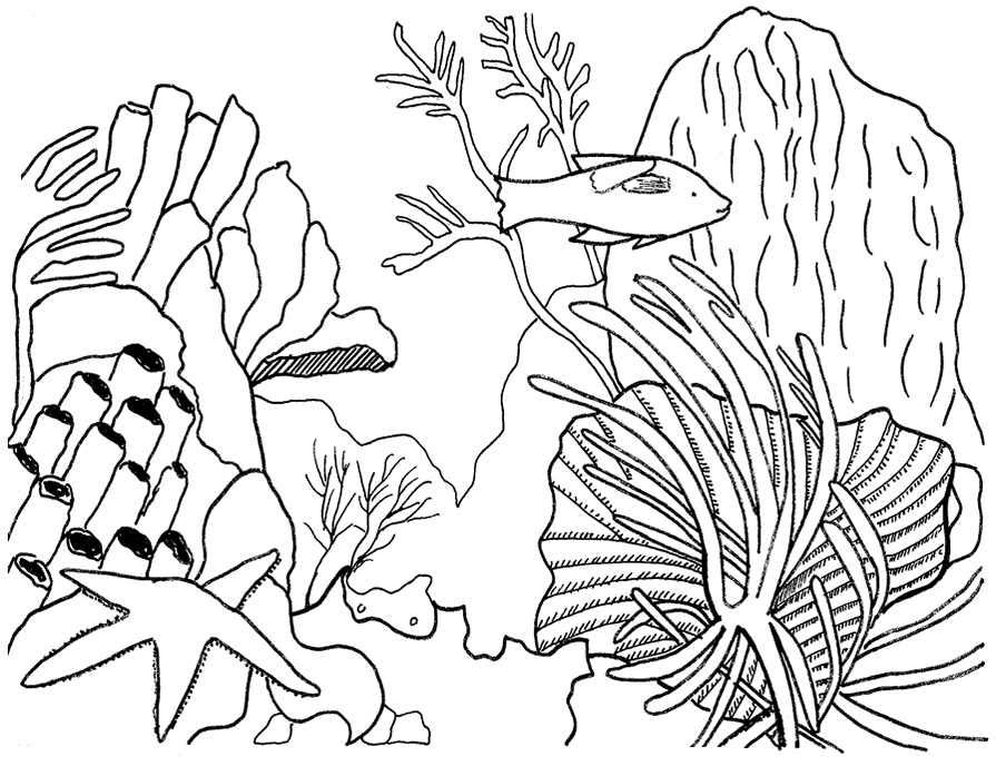 Coloriage d'un corail vibrant dans son habitat marin