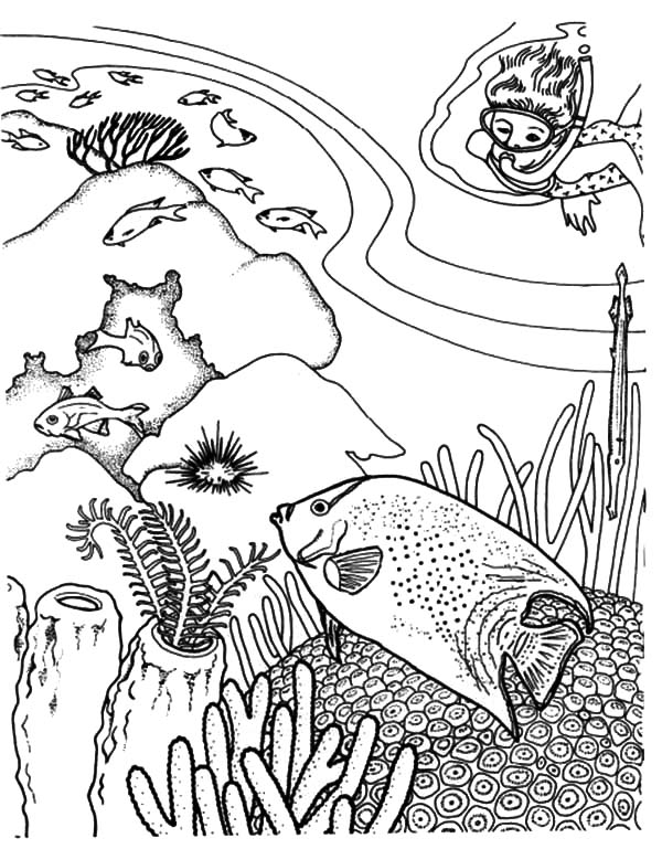 Coloriage d'un corail dans son habitat marin