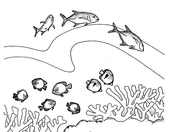Coloriage de corail avec un poisson et des algues marines Coloriage de corail avec un poisson et des algues marines