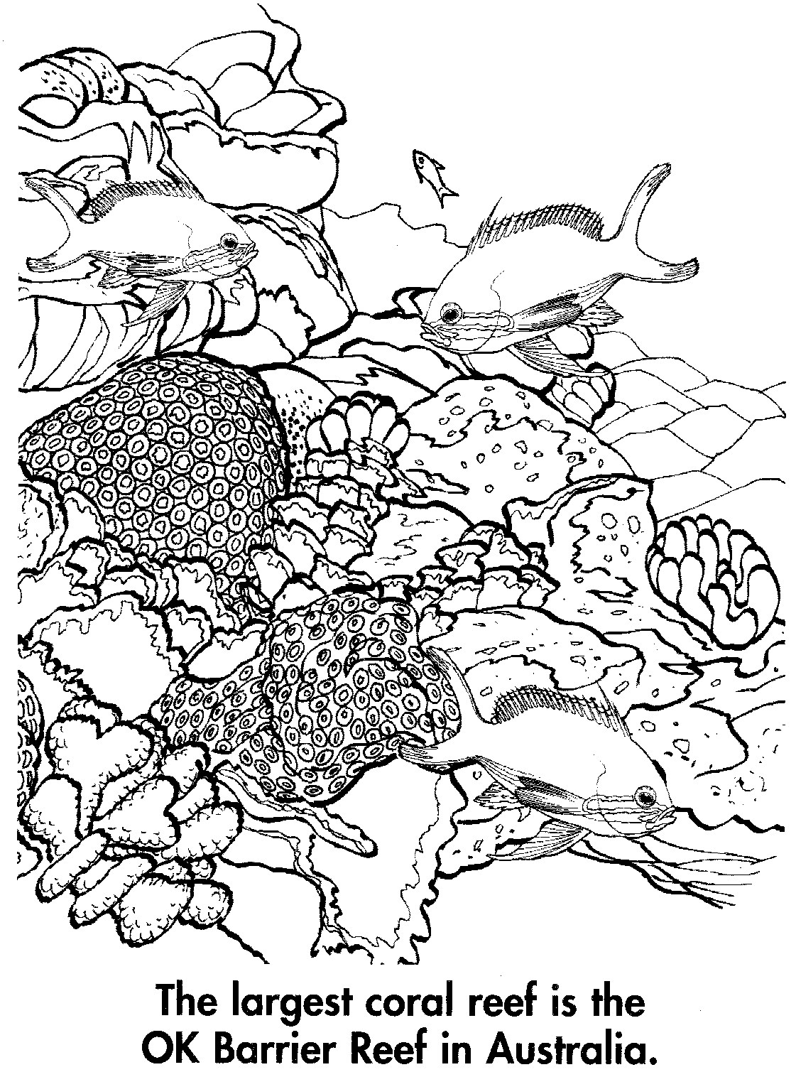 Coloriage d'un corail vibrant sous l'eau avec des détails marins