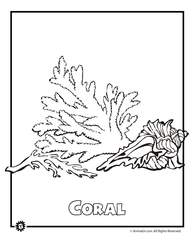 Coloriage Corail #32533 à imprimer Coloriage Corail #32533 à imprimer