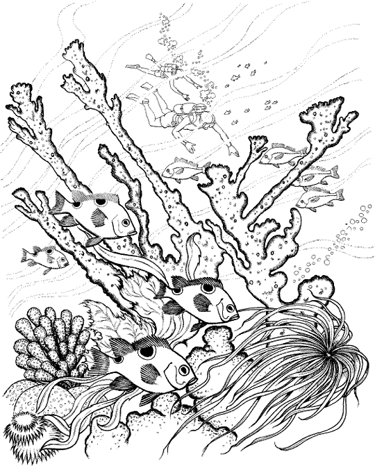 Corail en pleine mer illustré dans un coloriage