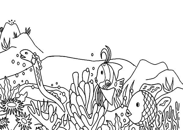 Coloriage d'un corail avec des formes organiques et des détails marins Coloriage d'un corail avec des formes organiques et des détails marins