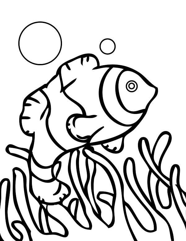 Coloriage d'un corail avec des détails naturels sous-marins