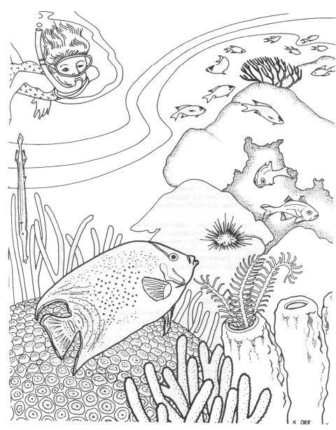 Coloriage d'un corail avec des motifs marins