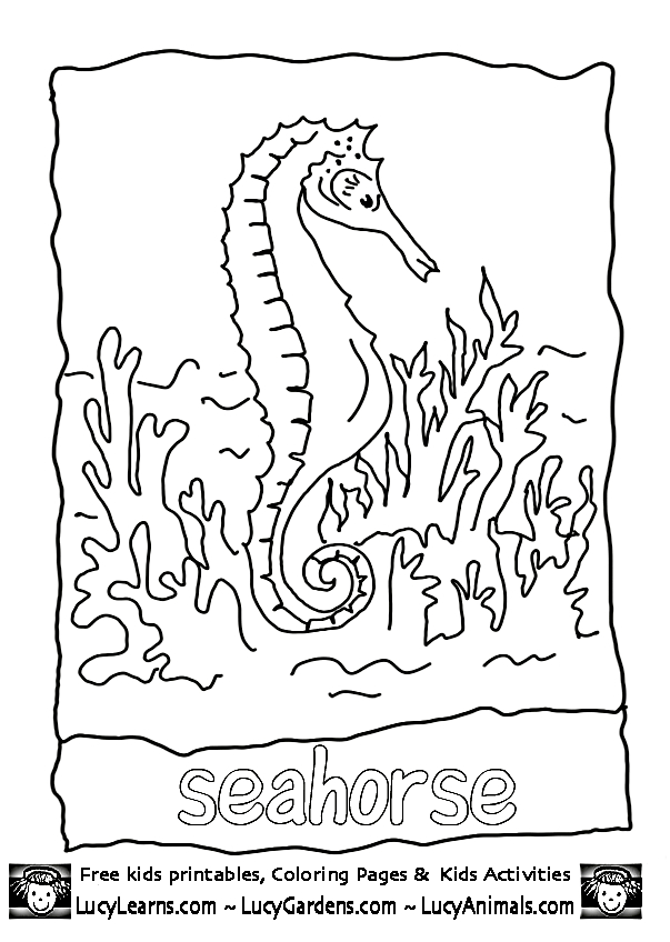 Coloriage d'un corail détaillé avec motifs marins Coloriage d'un corail détaillé avec motifs marins