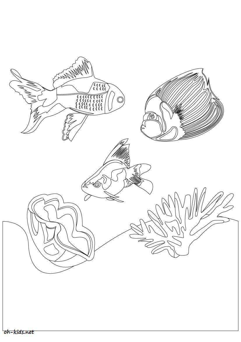 Corail en pleine mer avec des poissons et des algues Corail en pleine mer avec des poissons et des algues