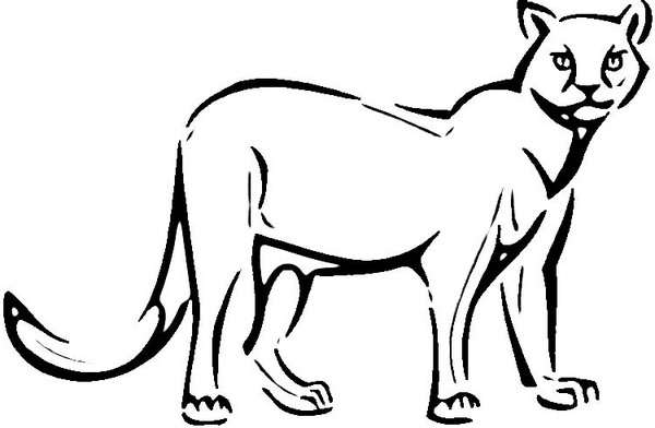 Coloriage Cougar #4207 à imprimer Coloriage Cougar #4207 à imprimer