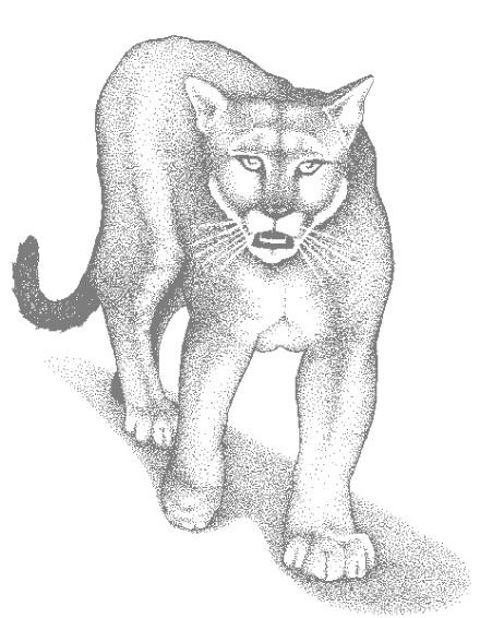 Un cougar majestueux se reposant dans son habitat naturel