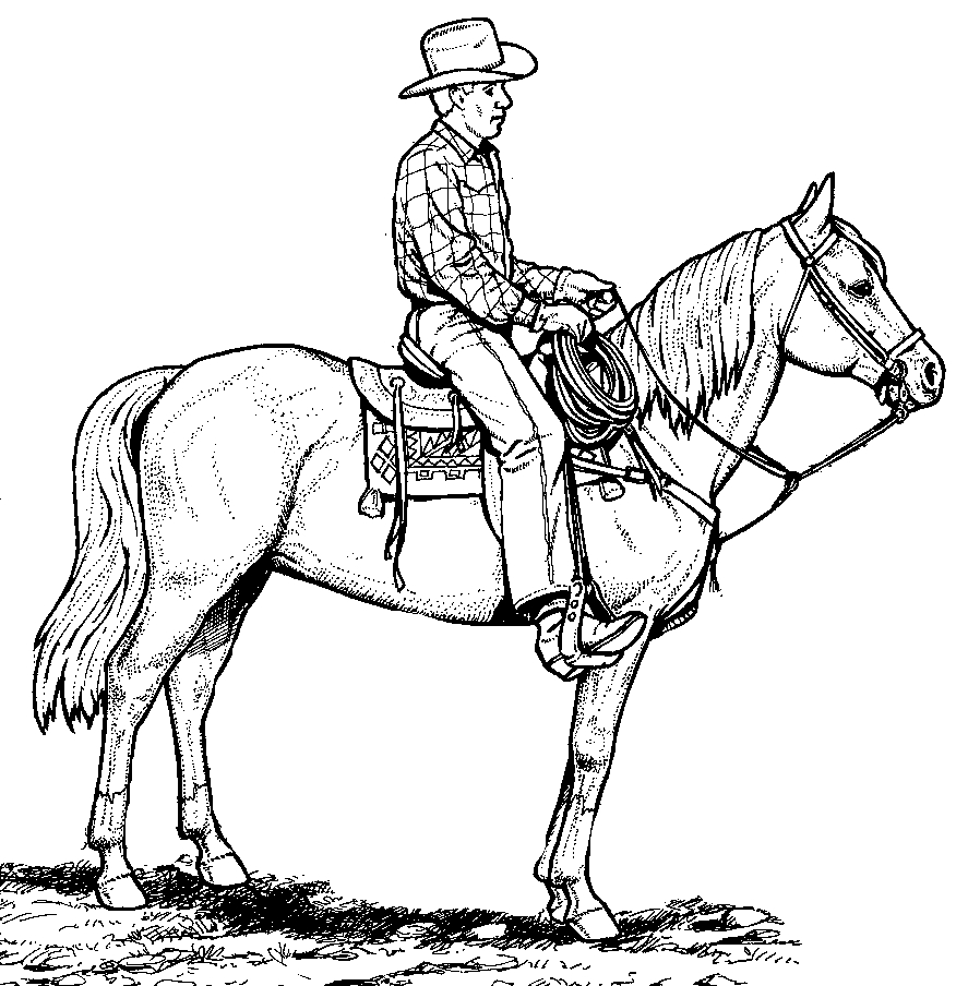 Un cowboy en pleine action dans le désert