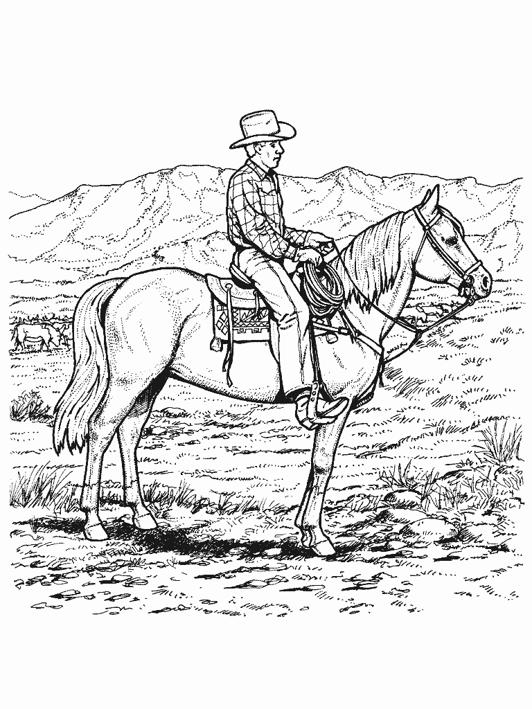 Un cowboy à cheval dans une prairie ouverte