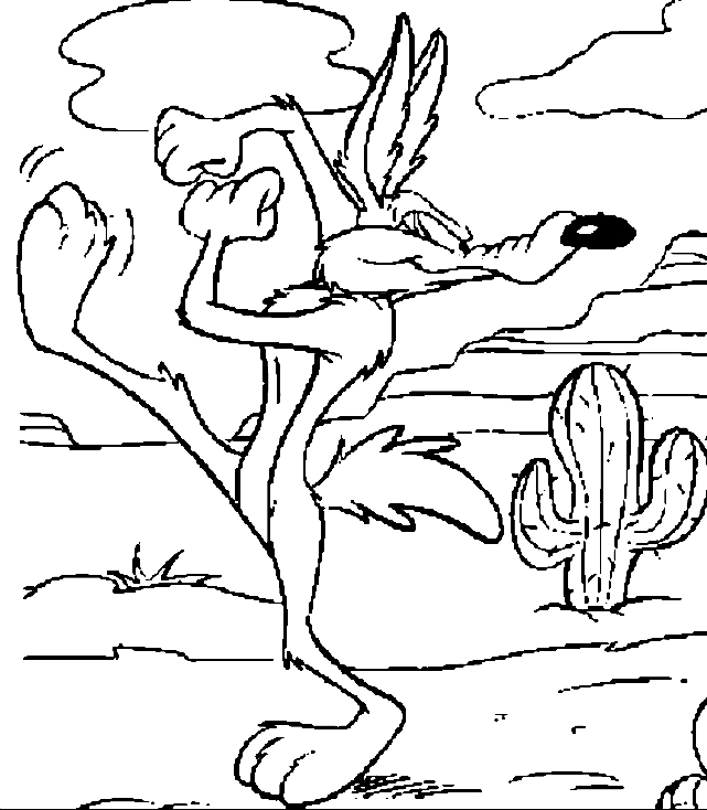 Un coyote en pleine contemplation dans la nature