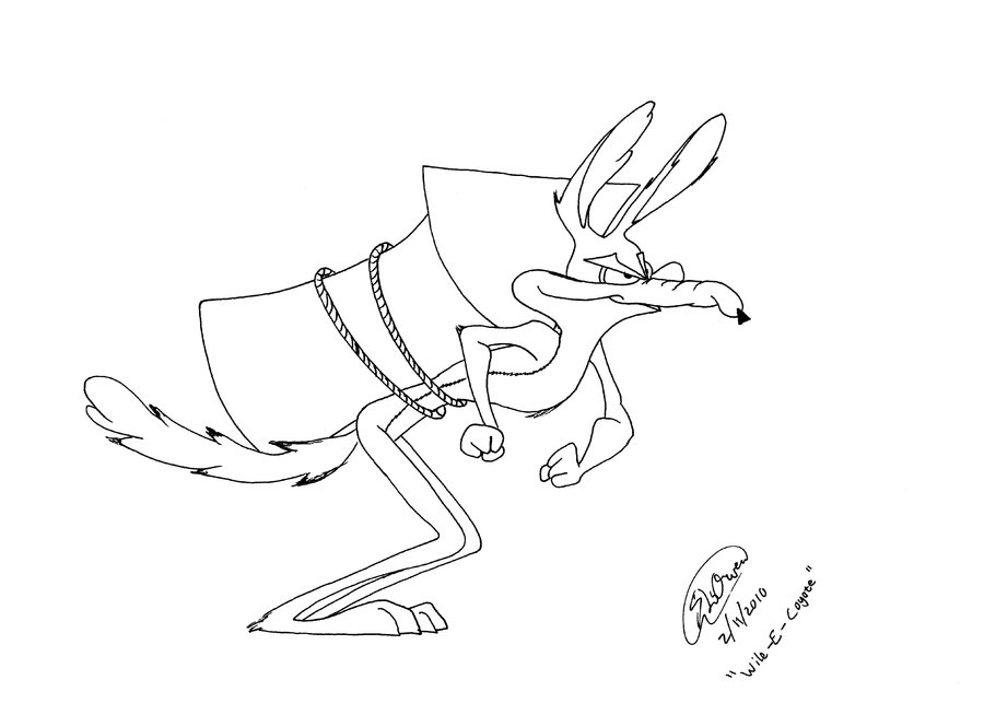 Un coyote espiègle en pleine nature Un coyote espiègle en pleine nature