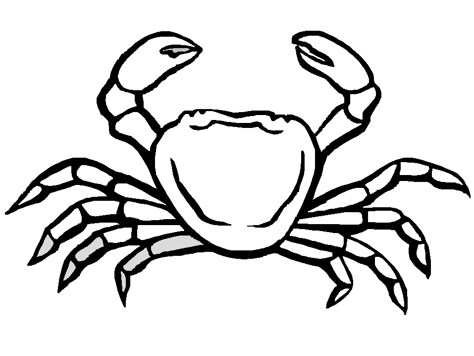 Un crabe sympathique sur le sable entouré de vagues