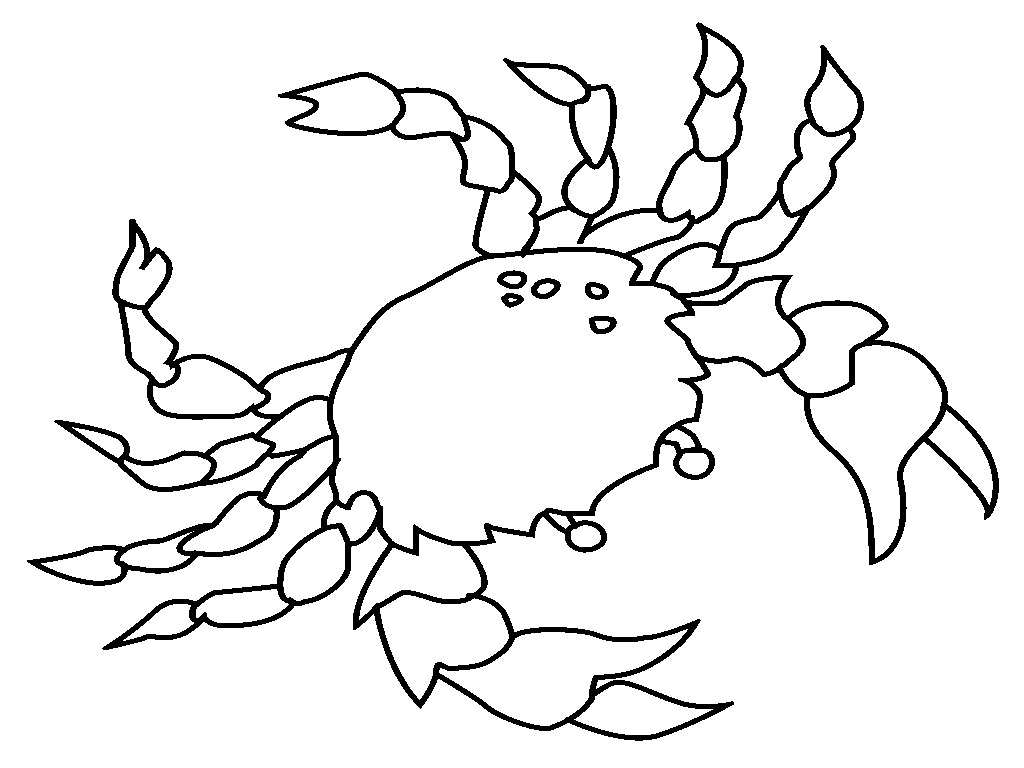 Un crabe joyeux se promenant sur le sable