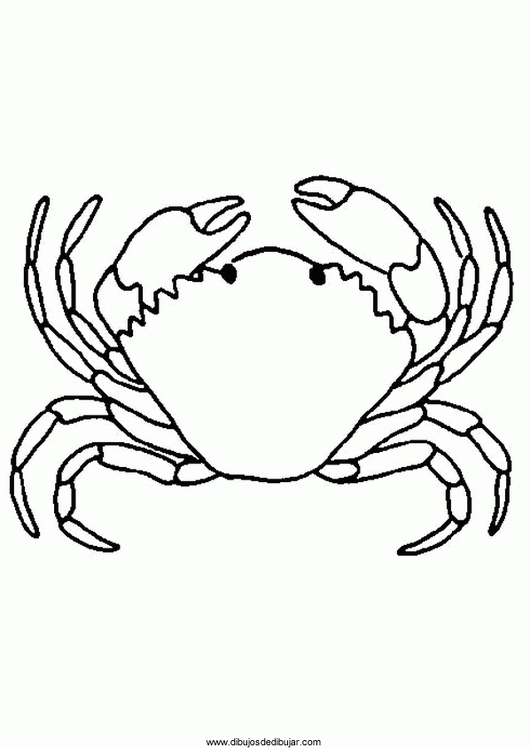 Coloriage d'un crabe sur le sable avec une mer en arrière-plan