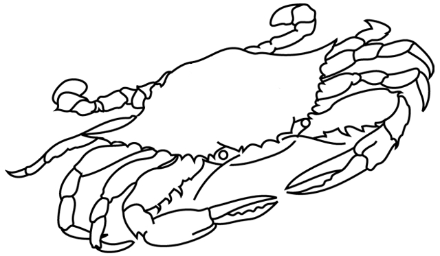 Un crabe jovial sur le rivage entouré de coquillages
