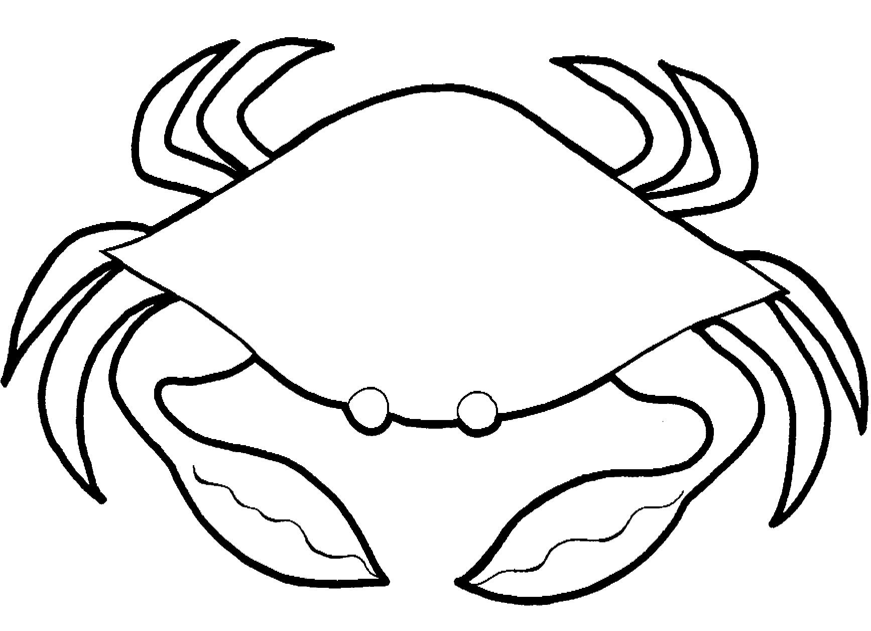 Un crabe joyeux se prélassant sur le sable de la plage