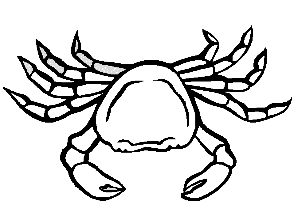 Un crabe jovial se promenant sur le sable de la plage