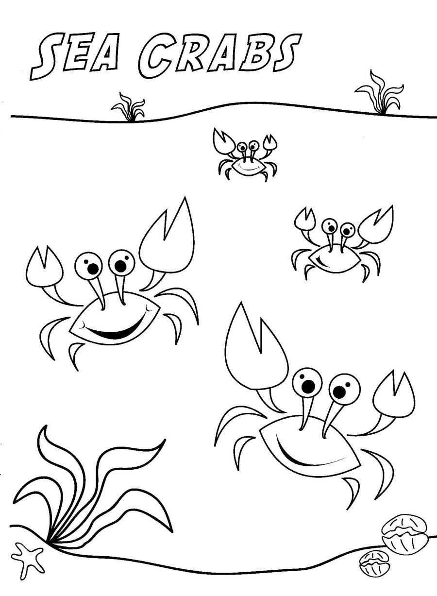 Coloriage d'un crabe sur le sable avec des vagues en arrière-plan
