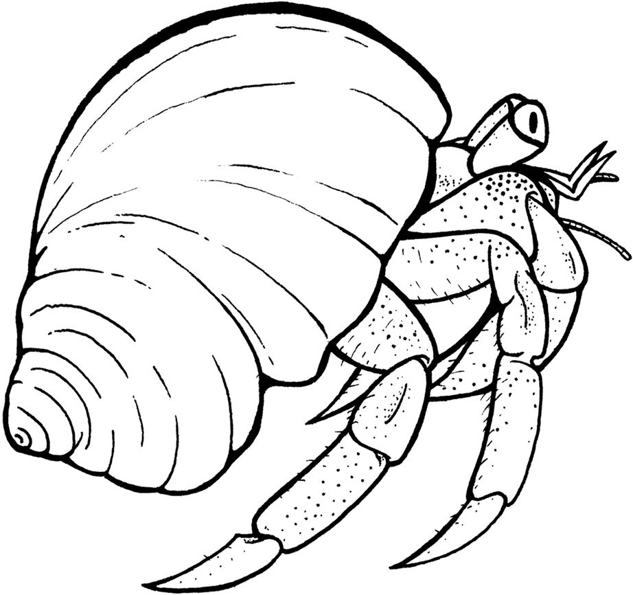 Coloriage d'un crabe sur le sable, sous un ciel ensoleillé