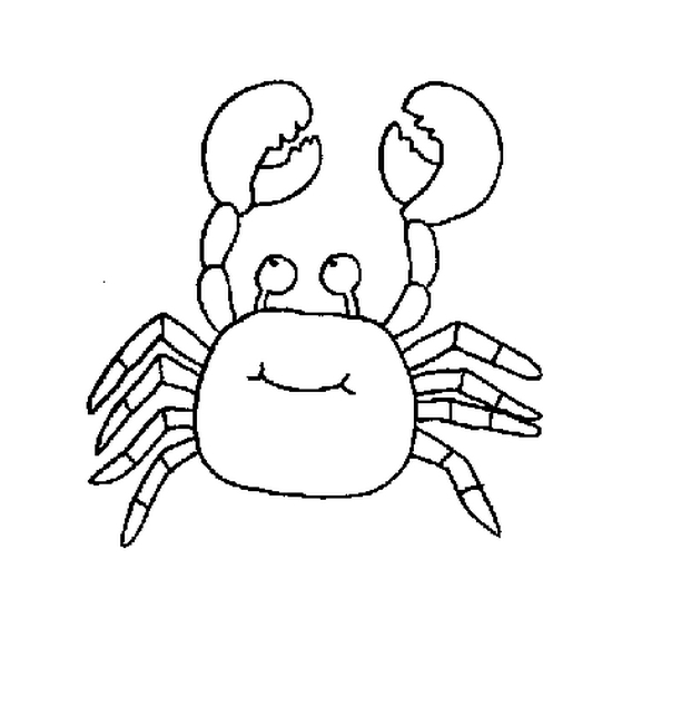 Un crabe jovial sur le rivage avec des détails marins